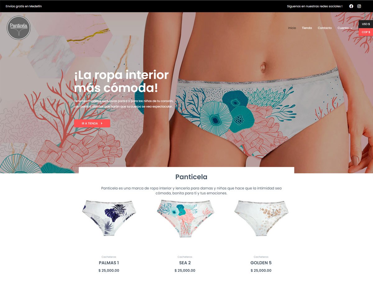 Diseño de Páginas web en Miami, Florida - Agencia web en Miami, Florida