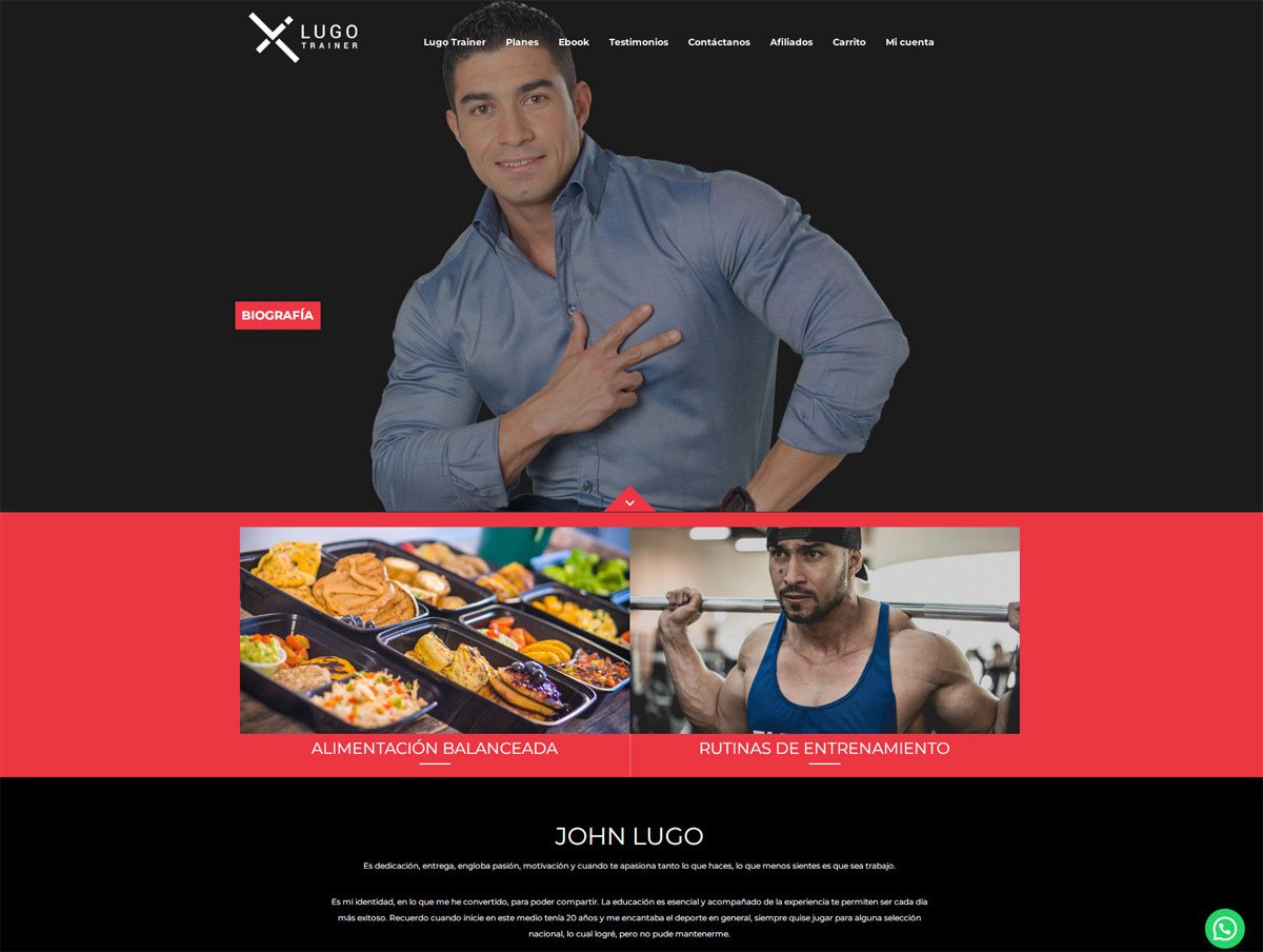 Diseño de Páginas web en Miami, Florida - Agencia web en Miami, Florida
